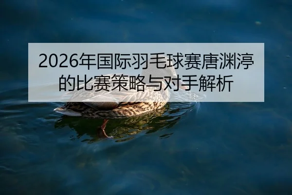 2026年国际羽毛球赛唐渊渟的比赛策略与对手解析