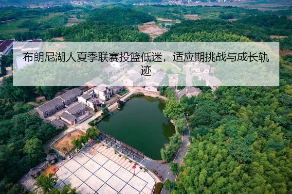 布朗尼湖人夏季联赛投篮低迷，适应期挑战与成长轨迹