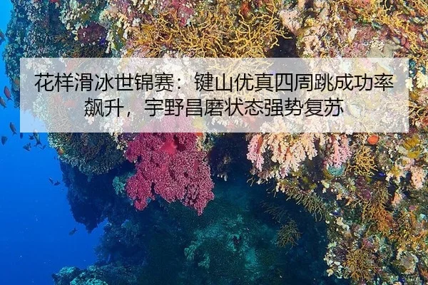 花样滑冰世锦赛：键山优真四周跳成功率飙升，宇野昌磨状态强势复苏