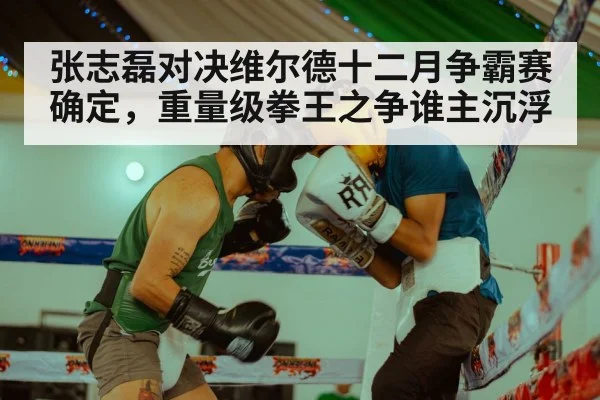 张志磊对决维尔德十二月争霸赛确定，重量级拳王之争谁主沉浮